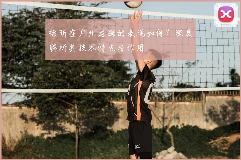 徐昕在广州龙狮的表现如何？深度解析其技术特点与作用