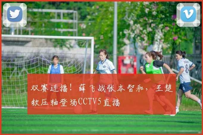 双赛连播！薛飞战张本智和，王楚钦压轴登场CCTV5直播